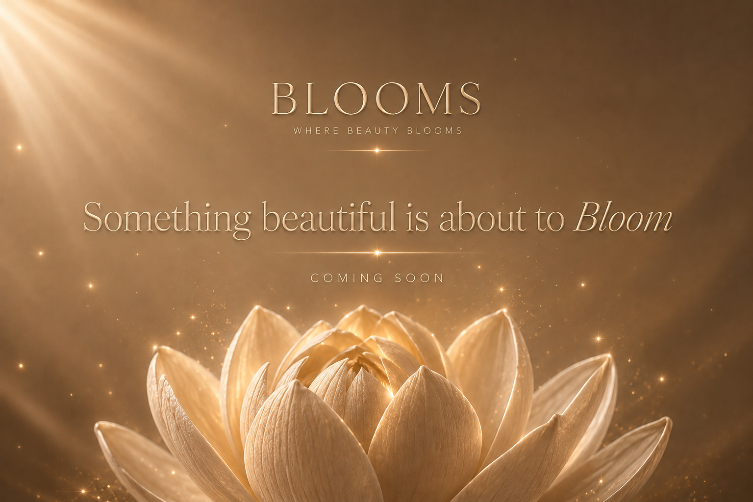 BLOOMS - Where Beauty Blooms